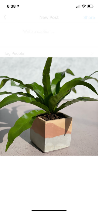 Cube Planter